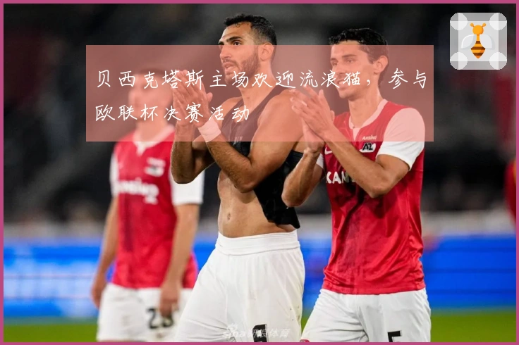 贝西克塔斯主场欢迎流浪猫，参与欧联杯决赛活动